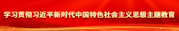 大鸡巴操浪逼免费视频学习贯彻习近平新时代中国特色社会主义思想主题教育